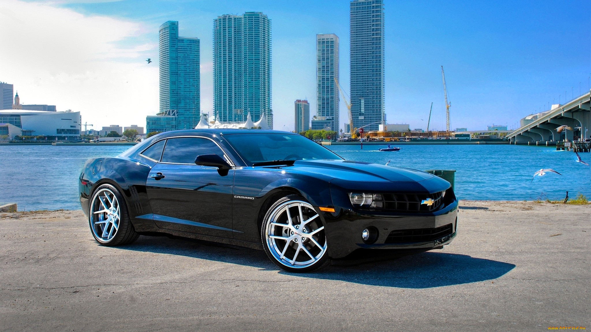 camaro, , chevrolet